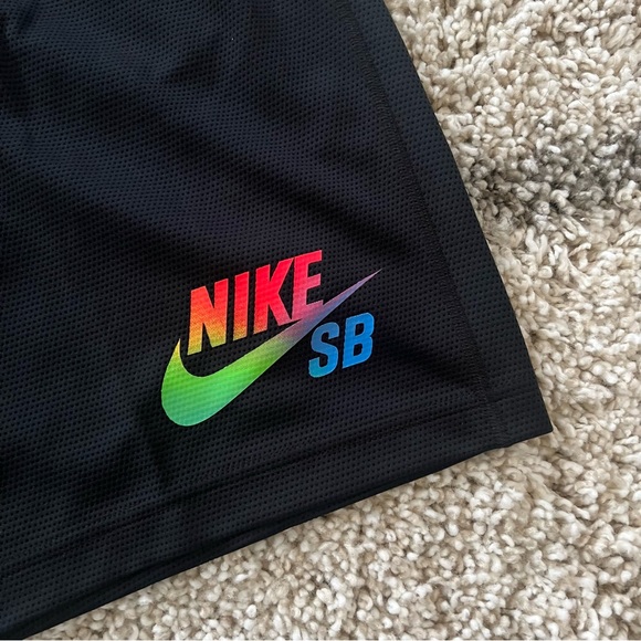 ✔️NWT✔️ NIKE SB Dri-Fit Be True Sunday Shorts - Picture 4 of 11